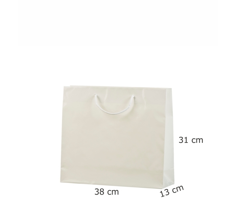 Luksus-papirsposer med logo tryk511