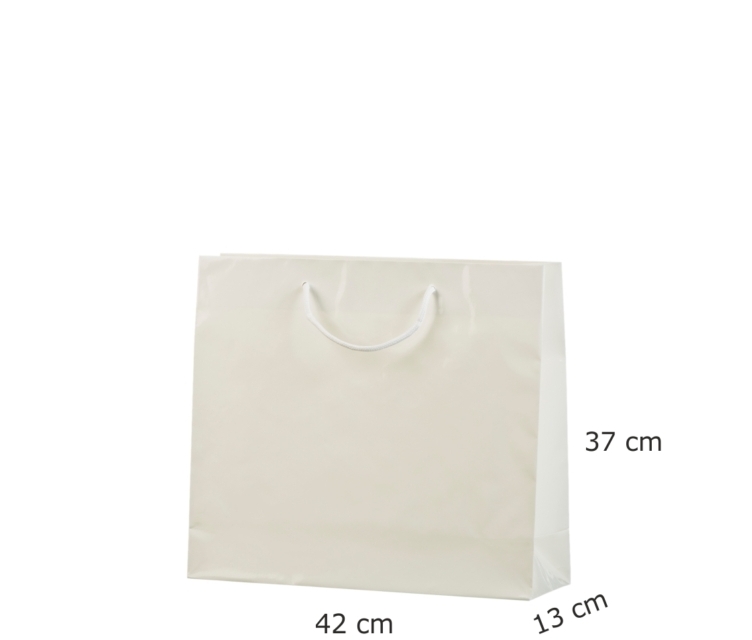 Luksus-papirsposer med logo tryk59