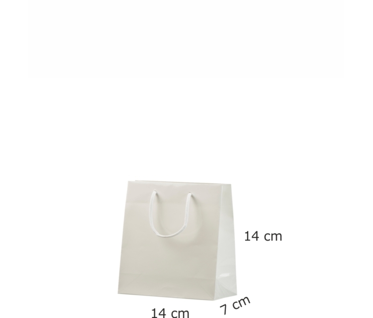 Luksus-papirsposer med logo tryk5011